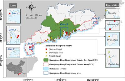 Analysis of mangrove dynamics and its protection effect in the Guangdong-Hong Kong-Macao Coastal Area based on the Google Earth Engine platform